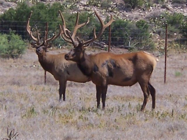 Felix River Ranch