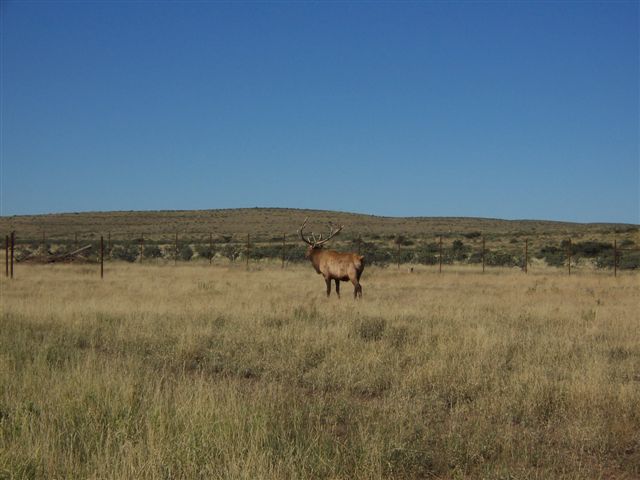 Felix River Ranch