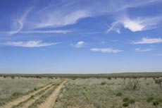 Diamond Walnut Ranch