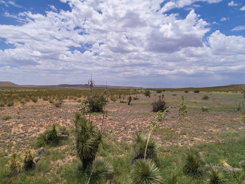 Cottonwood Springs Ranch