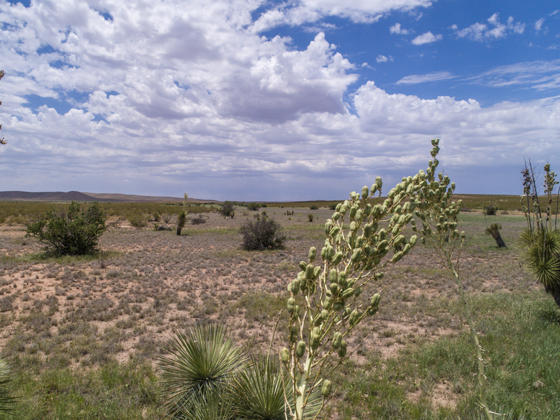 Cottonwood Springs Ranch