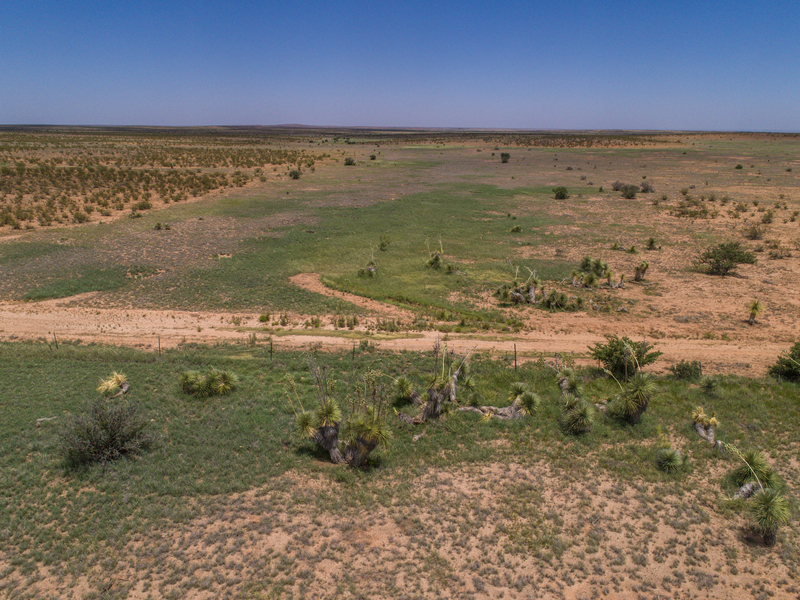 Cottonwood Springs Ranch