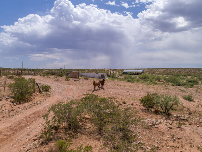 Cottonwood Springs Ranch