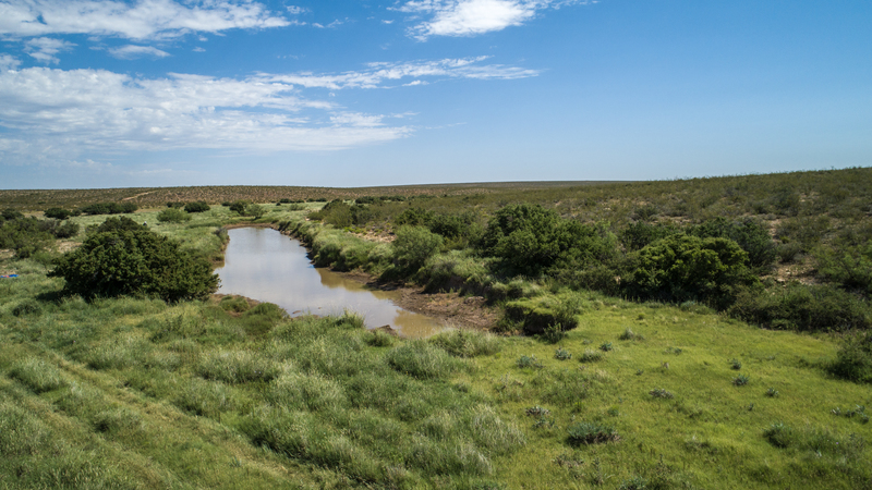 Cottonwood Springs Ranch