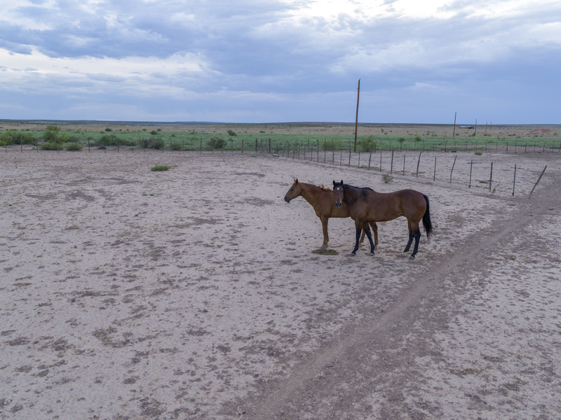 Cottonwood Springs Ranch