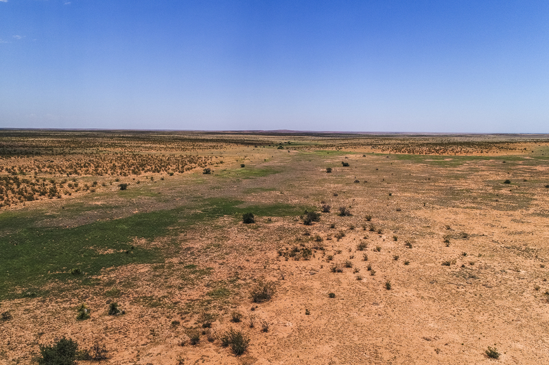 Cottonwood Springs Ranch