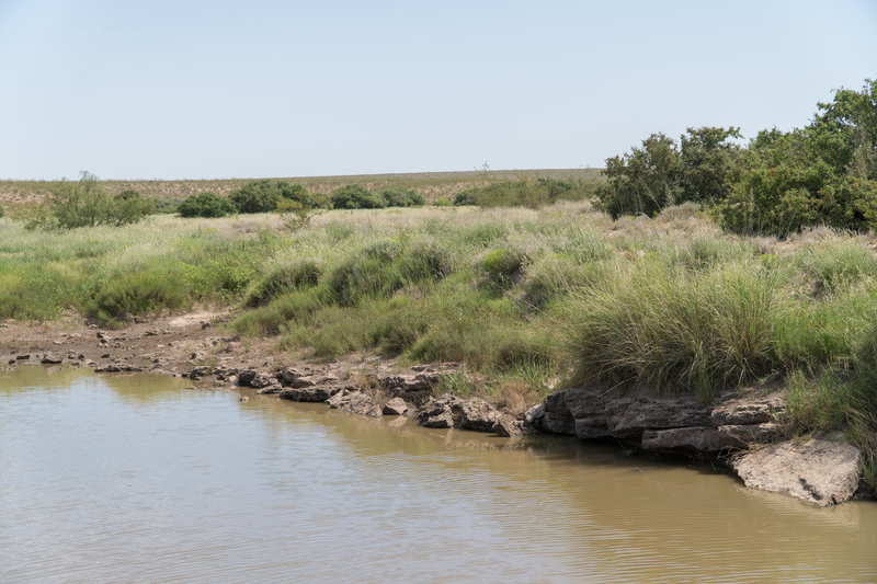 Cottonwood Springs Ranch