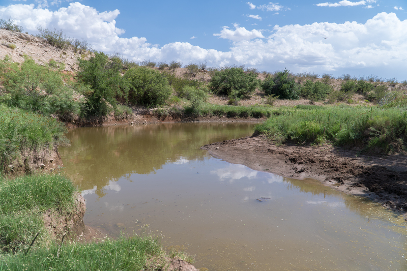 Cottonwood Springs Ranch