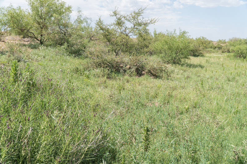 Cottonwood Springs Ranch