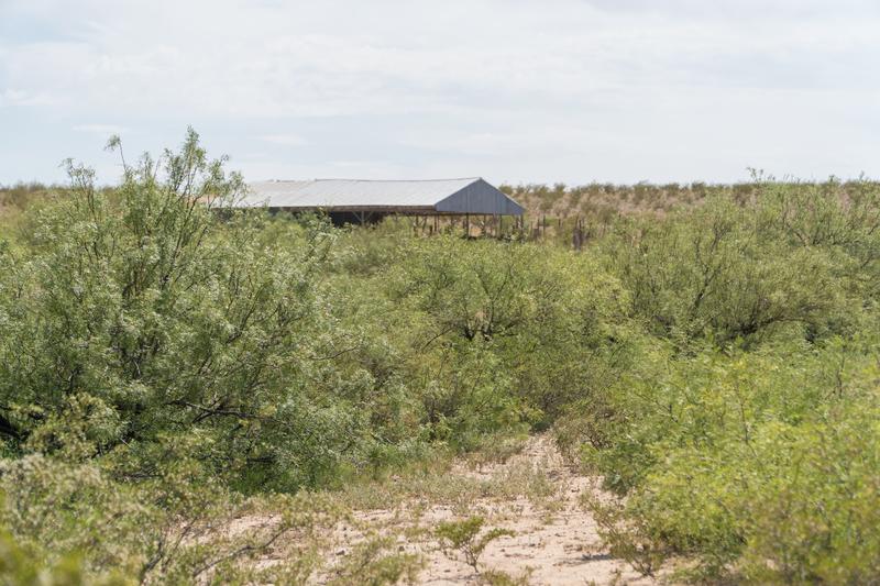 Cottonwood Springs Ranch