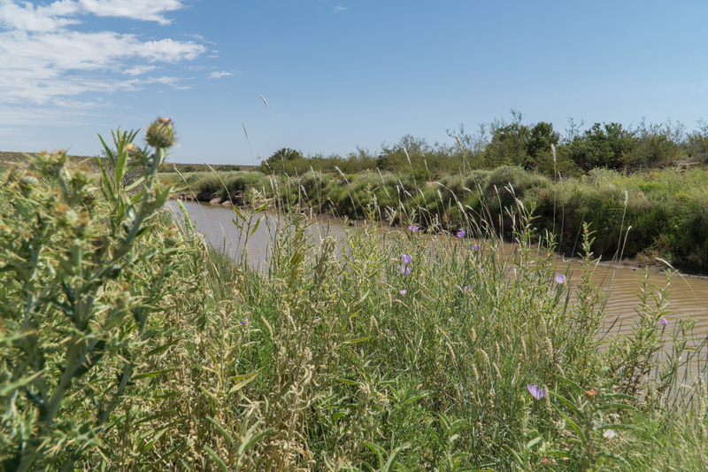 Cottonwood Springs Ranch