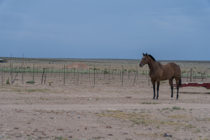 Cottonwood Springs Ranch