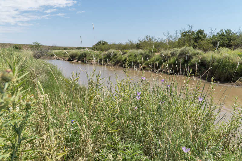 Cottonwood Springs Ranch