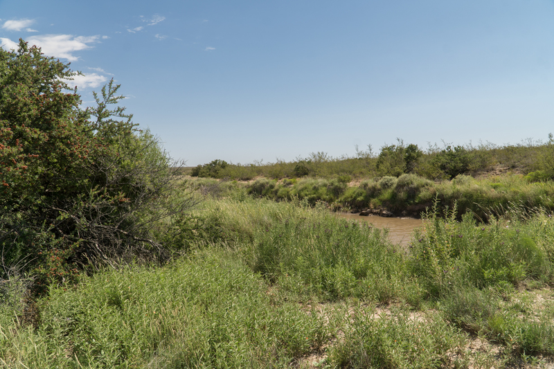 Cottonwood Springs Ranch