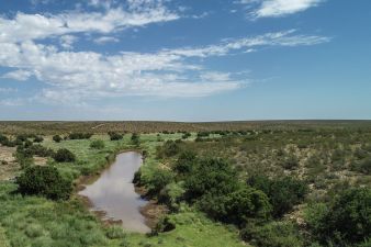 Cottonwood Springs Ranch