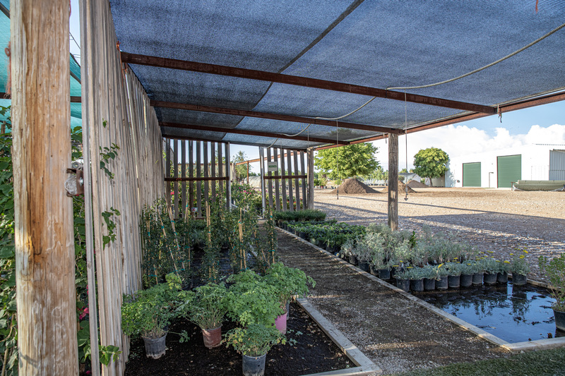 The Greenery