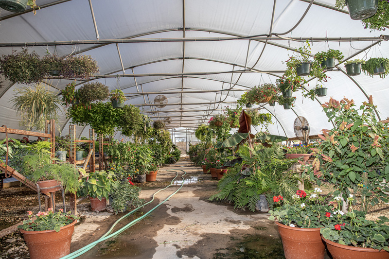 The Greenery