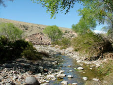 Percha Creek Ranch