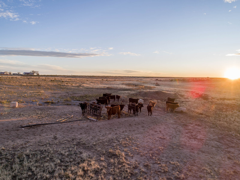 Express Springs Ranch