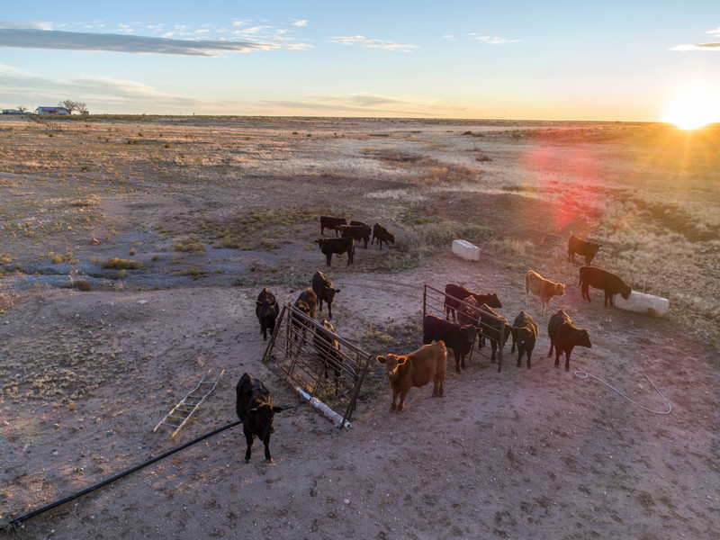 Express Springs Ranch