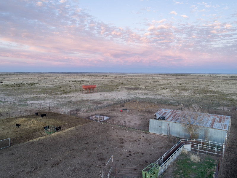 Express Springs Ranch