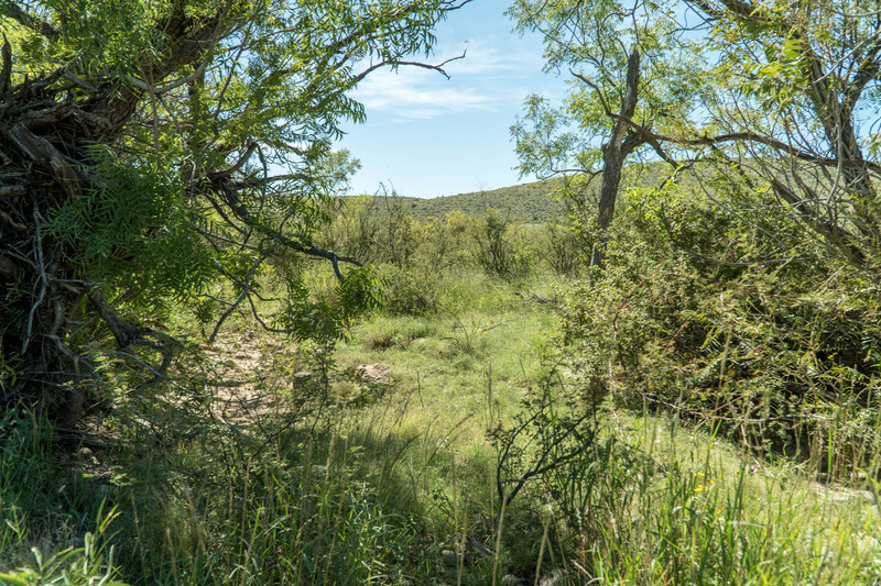 Dark Canyon Ranch