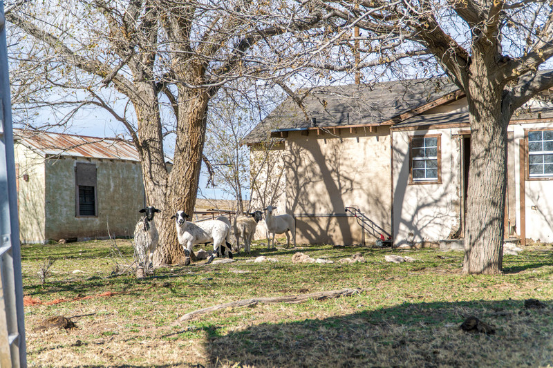 Dark Canyon Ranch (IB)