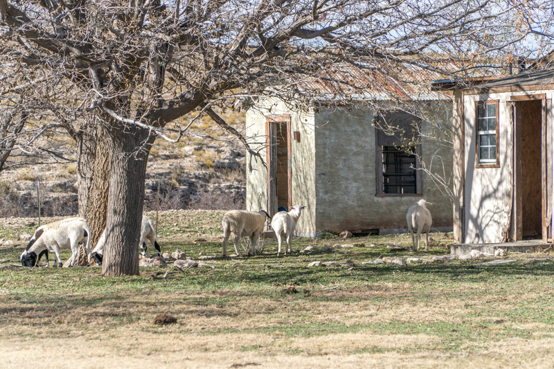 Dark Canyon Ranch