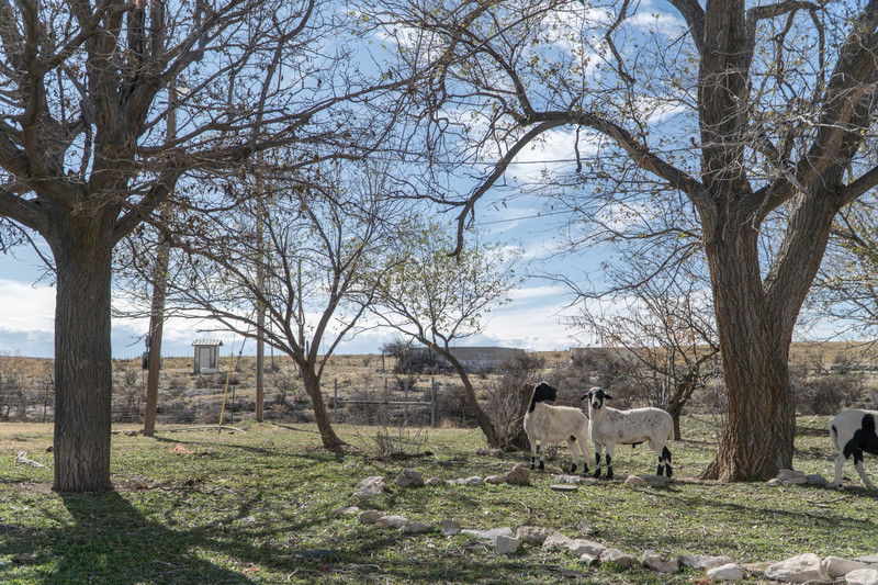 Dark Canyon Ranch (IB)