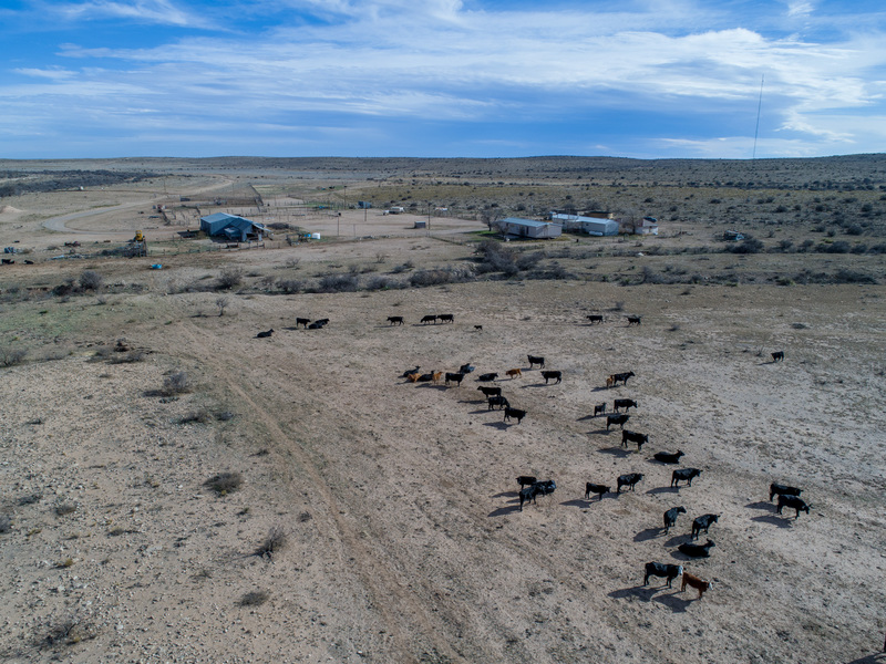 Great Southwest Ranch