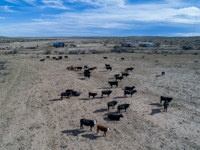 Great Southwest Ranch