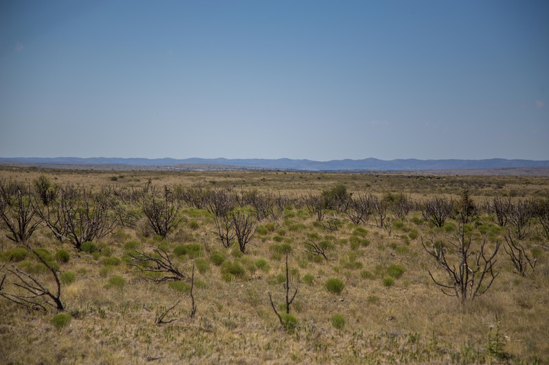 Great Southwest Ranch
