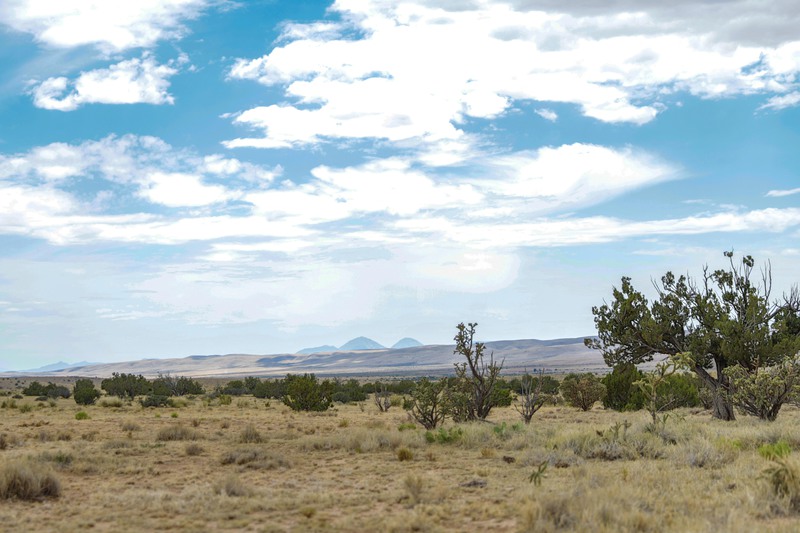 Great Southwest Ranch