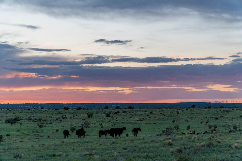 Gran Quivira Ranch