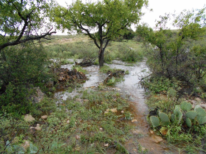 Singer Lake Ranch