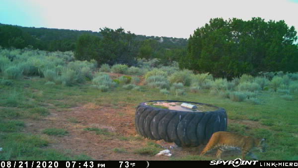 Rough Mountain Hunting Ranch