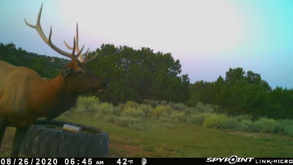 Rough Mountain Hunting Ranch