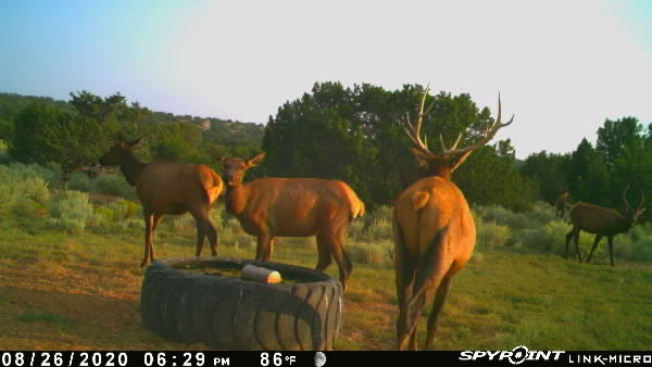 Rough Mountain Hunting Ranch