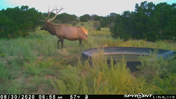 Rough Mountain Hunting Ranch