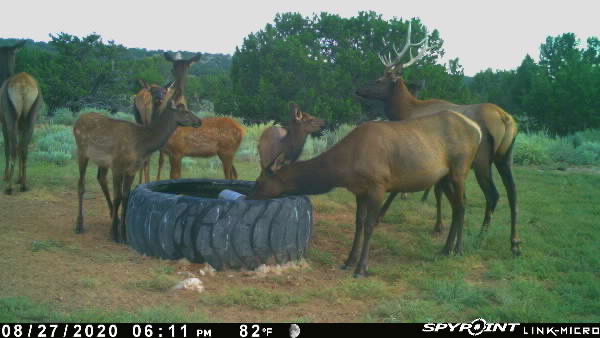 Rough Mountain Hunting Ranch