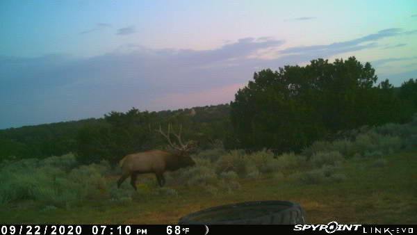 Rough Mountain Hunting Ranch