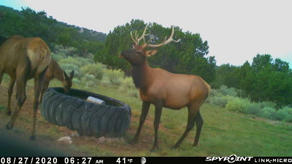 Rough Mountain Hunting Ranch