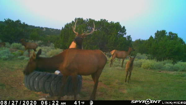 Rough Mountain Hunting Ranch