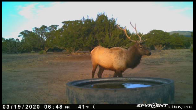 Rough Mountain Hunting Ranch