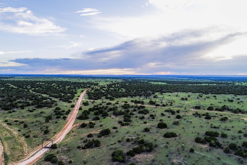 Rough Mountain Hunting Ranch