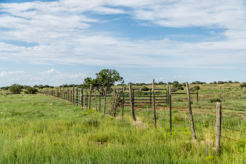 Rough Mountain Hunting Ranch