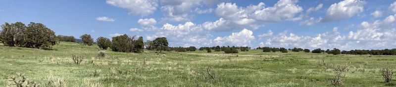 Rough Mountain Hunting Ranch