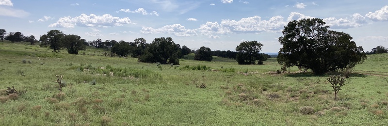 Rough Mountain Hunting Ranch