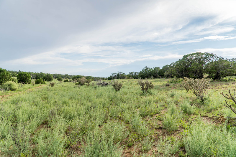 Rough Mountain Hunting Ranch