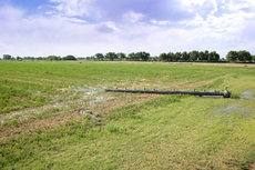 Coronado Farm